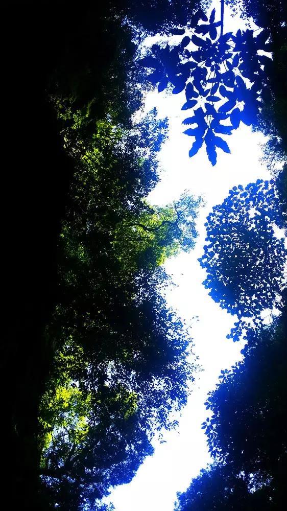 月光影视