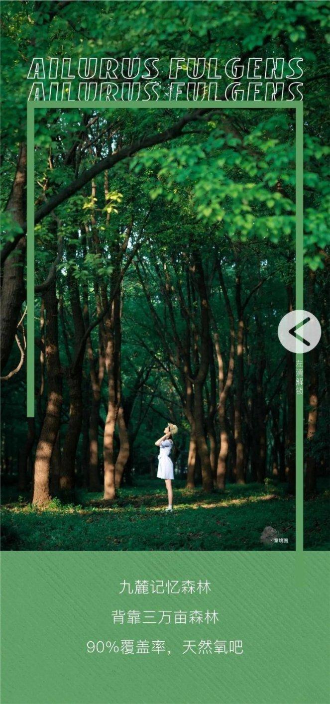 探索奇妙世界,尽在没住满租房押金不退如何处理蜗牛问答平台